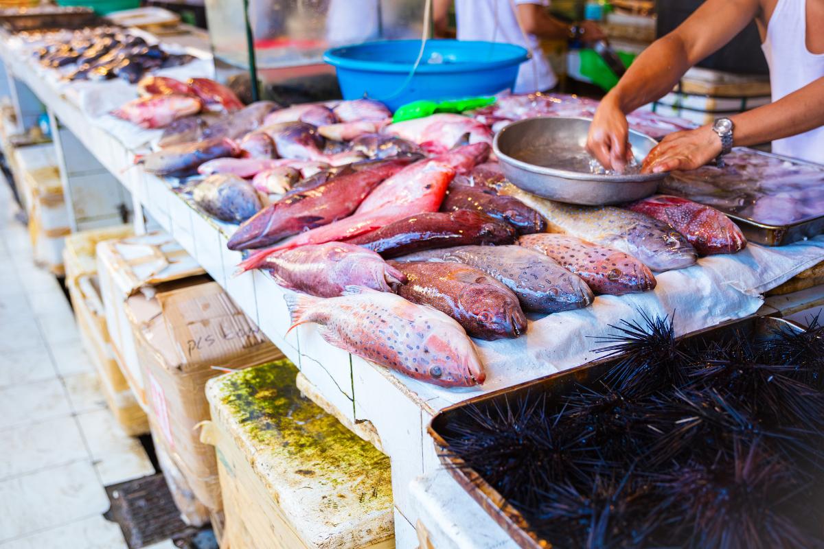 D'Talipapa Boracay: Wet Markets - Seafood Stall