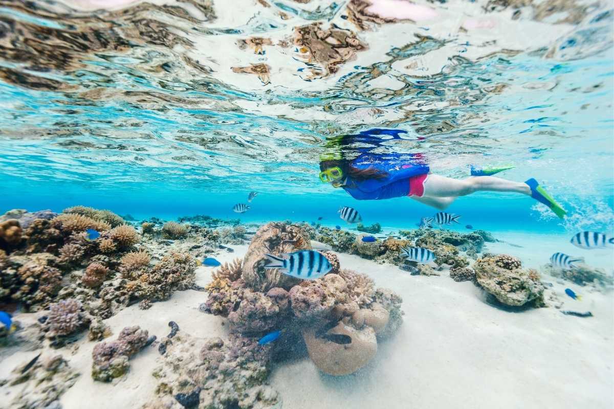 The Best Snorkelling Activities on Boracay Island