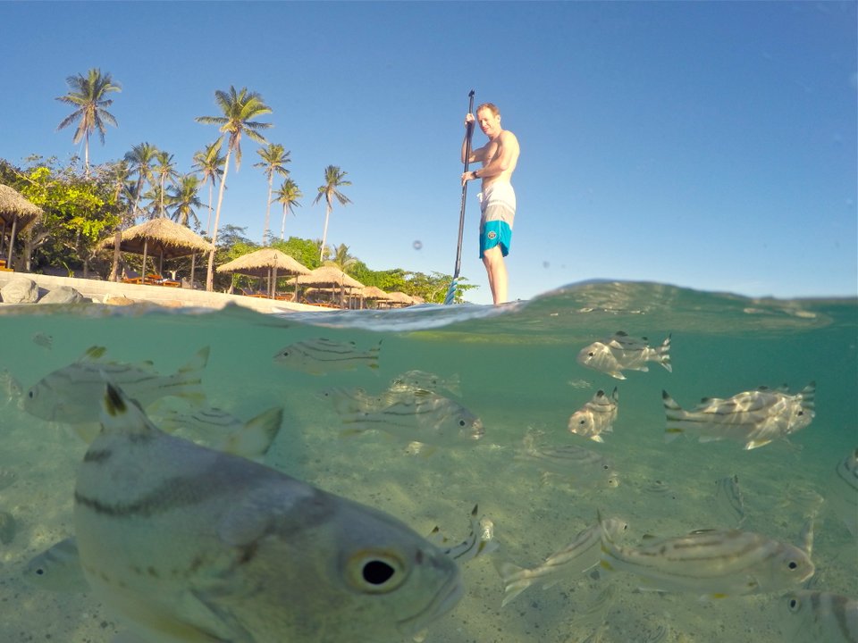 Stand-up paddleboarder on calm clear water in Boracay with split underwater view showing tropical fish swimming below, palm trees and beach huts on shore